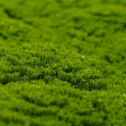 Fresh Natural Green Artificial Moss / Green Wall UV Resistant 1m x 1m - Image 3