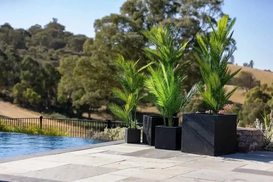 Real Touch Artificial Phoenix Palm Tree UV Resistant 135cm - Image 2