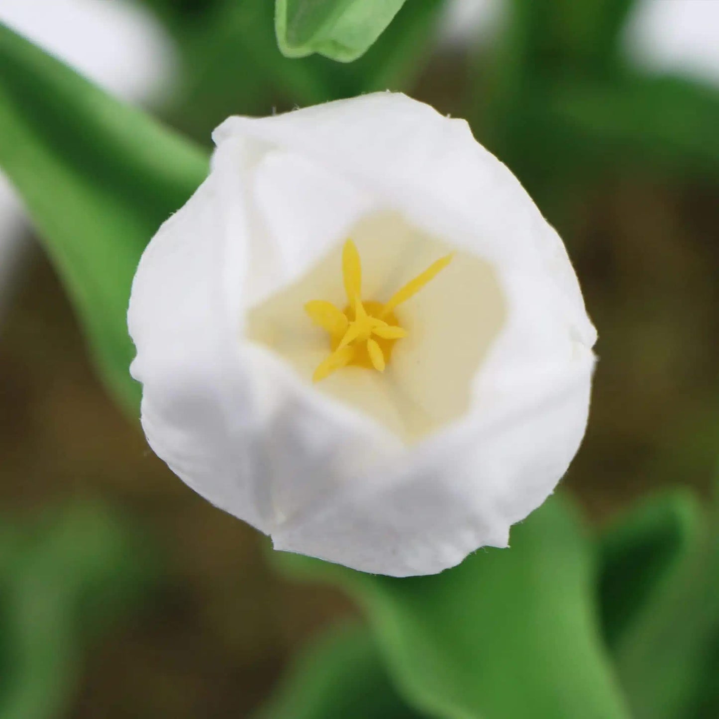 Flowering White Artificial Tulip Plant Arrangement With Ceramic Bowl 35cm - Image 4