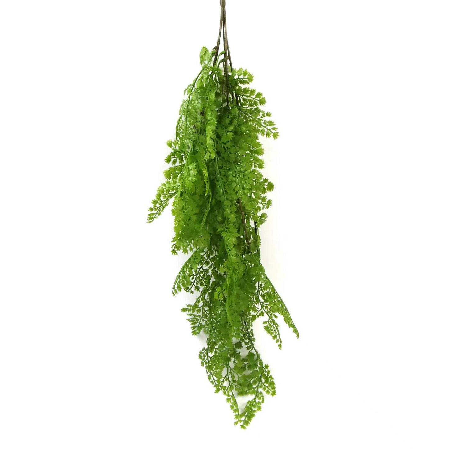 Hanging Native Green Dense Maiden Hair Fern Bush UV Resistant 80cm - Image 2