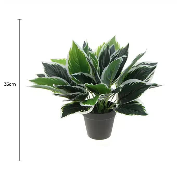 Dense Potted Artificial Calathea Plant 35cm - Image 2