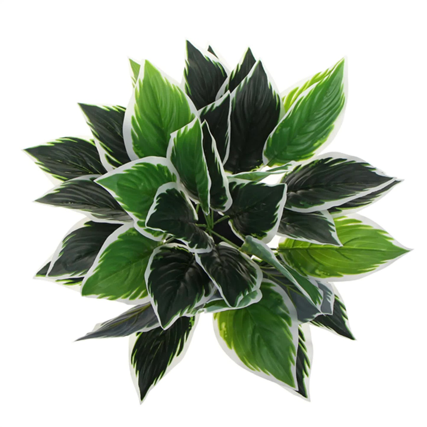 Dense Potted Artificial Calathea Plant 35cm - Image 3
