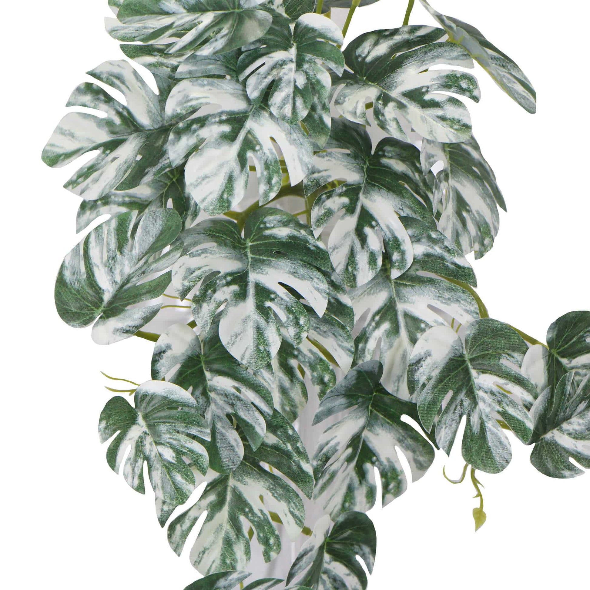 Artificial White & Green Monstera Albo Variegata 45cm - Image 4