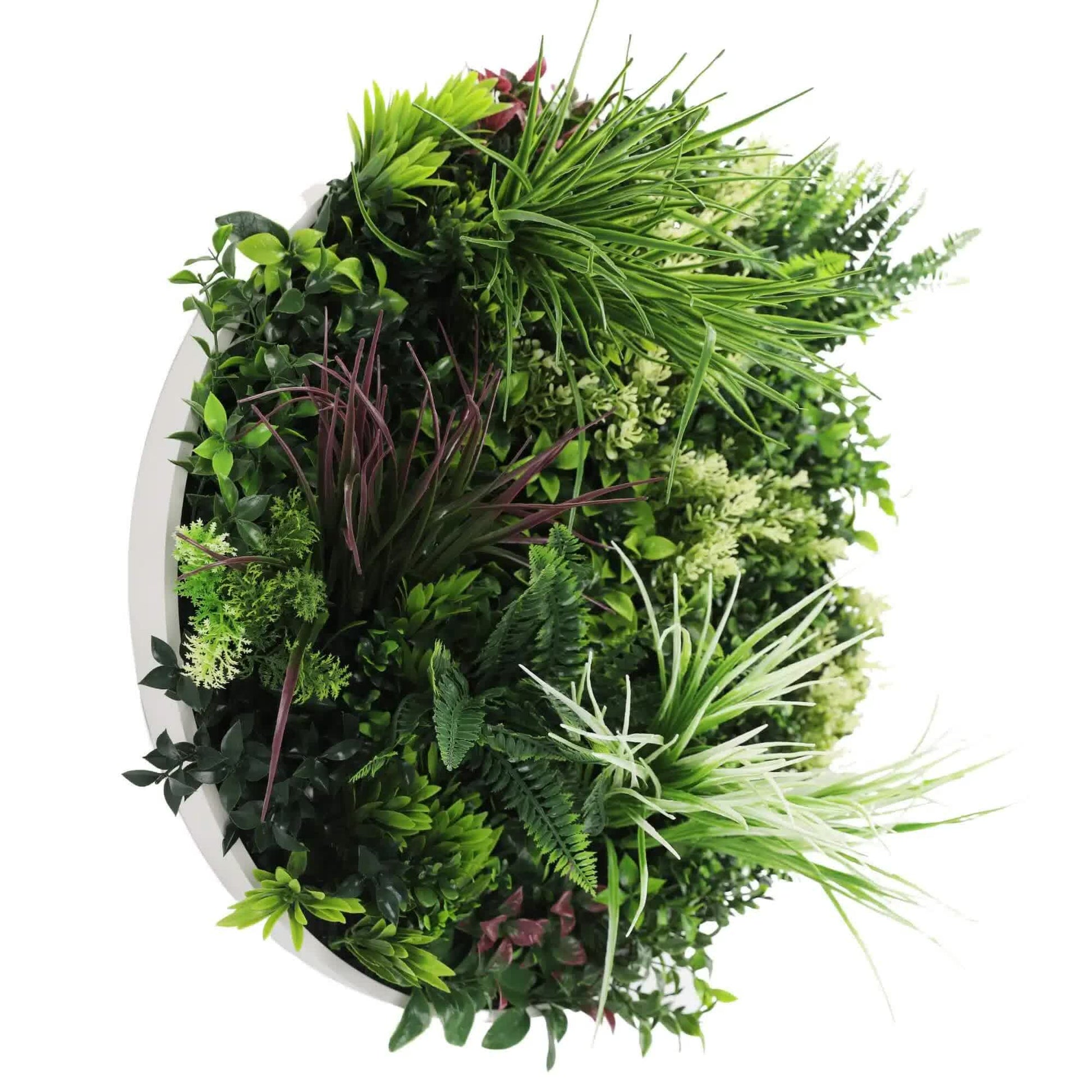 Slimline Artificial Green Wall Disc Art 60cm Colour Fresh UV Resistant (White) - Image 3