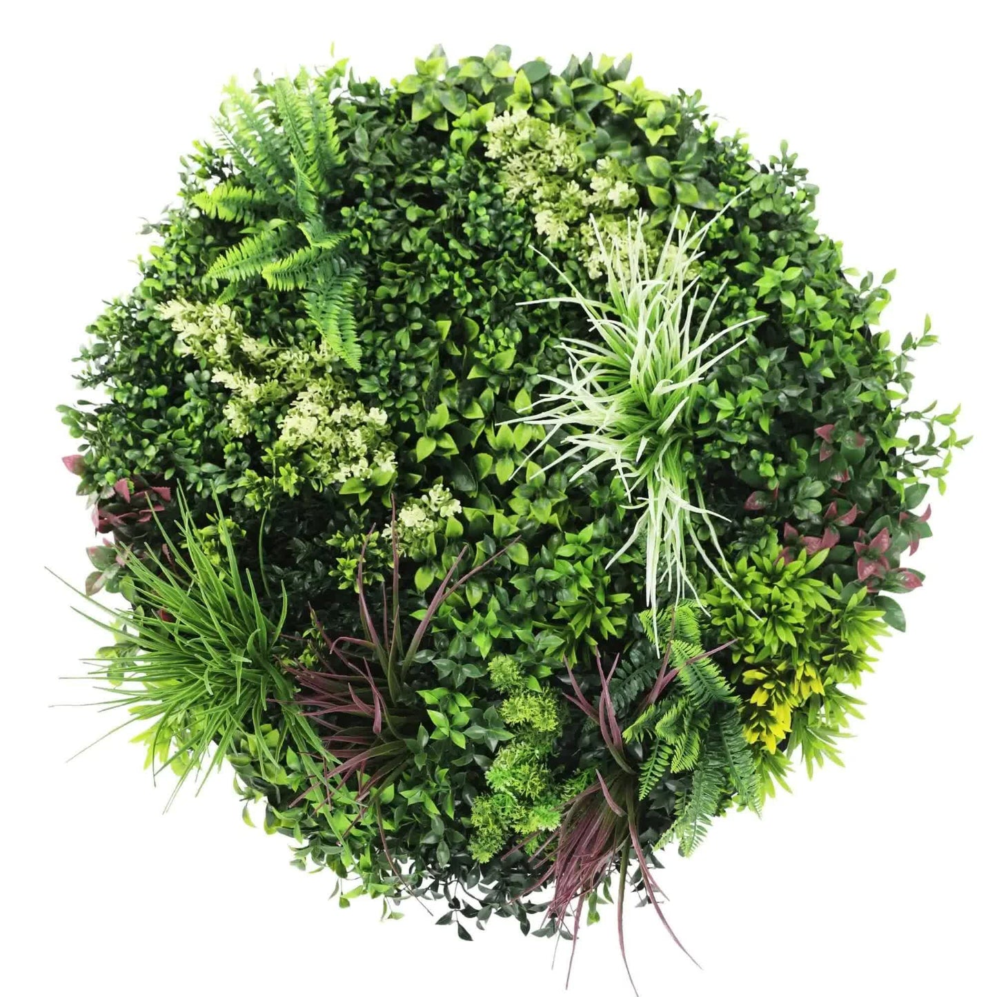 Slimline Artificial Green Wall Disc Art 80cm Colour Fresh UV Resistant (Black) - Image 3