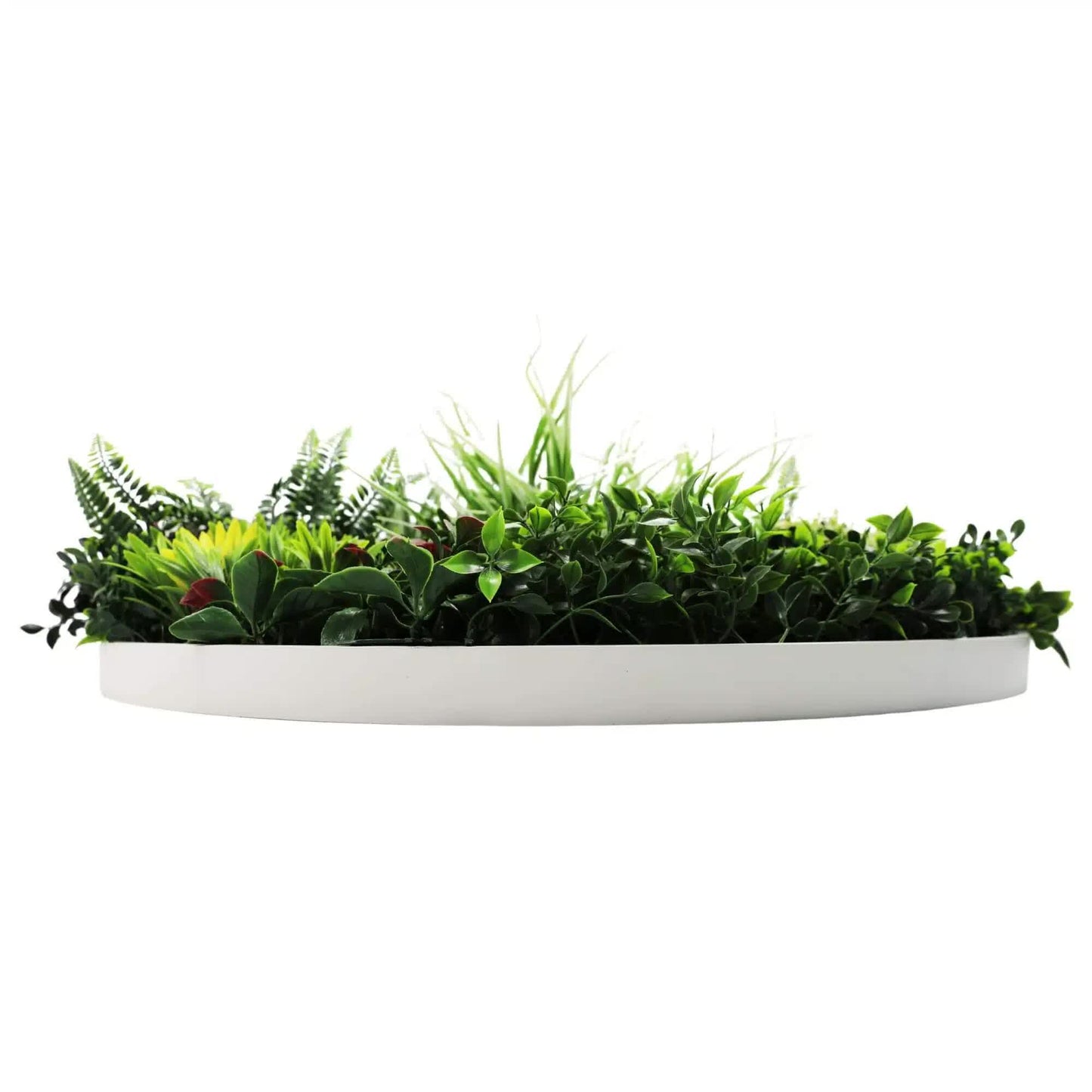 Slimline Artificial Green Wall Disc Art 80cm Colour Fresh UV Resistant (White) - Image 4