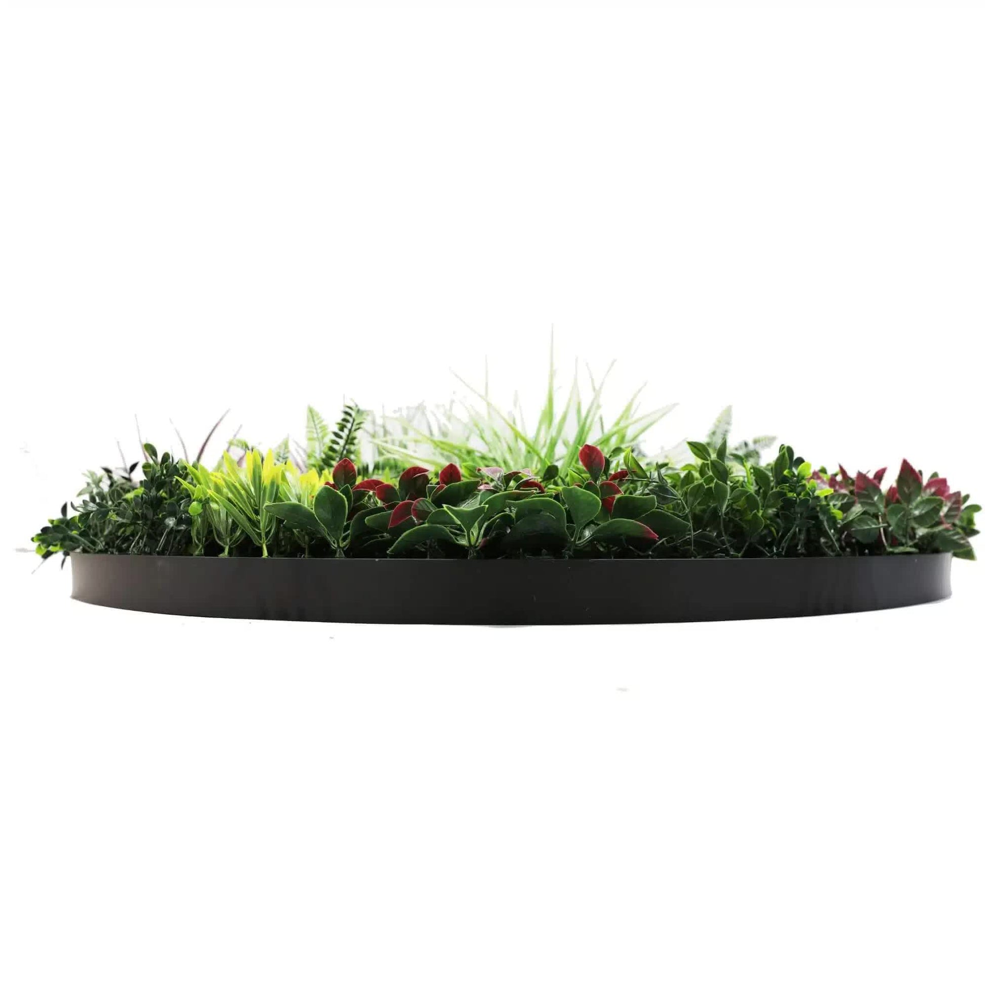 Slimline Artificial Green Wall Disc Art 100cm Colour Fresh UV Resistant (Black) - Image 4