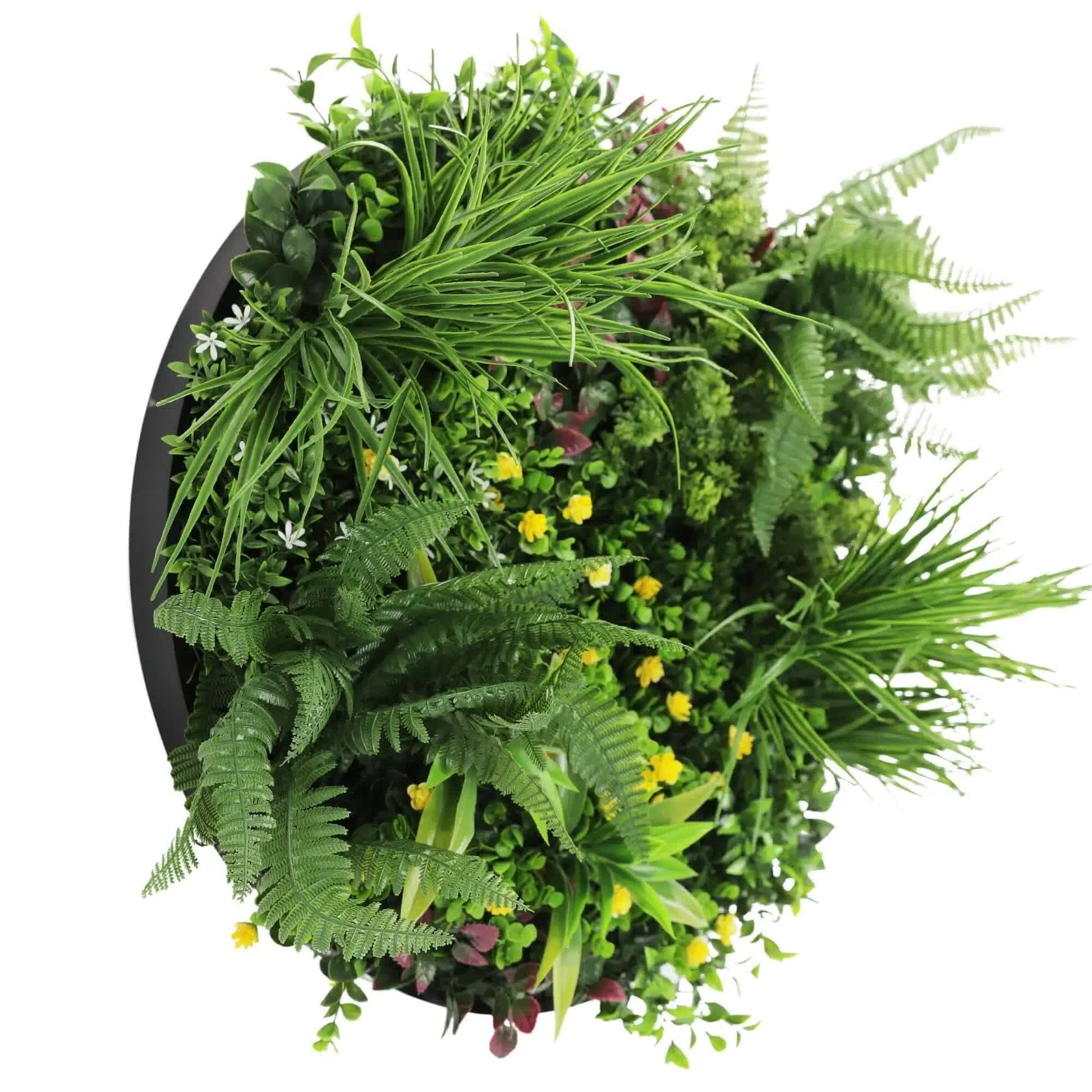 Slimline Artificial Green Wall Disc Art 60cm Country Fern UV Resistant (Black) - Image 3