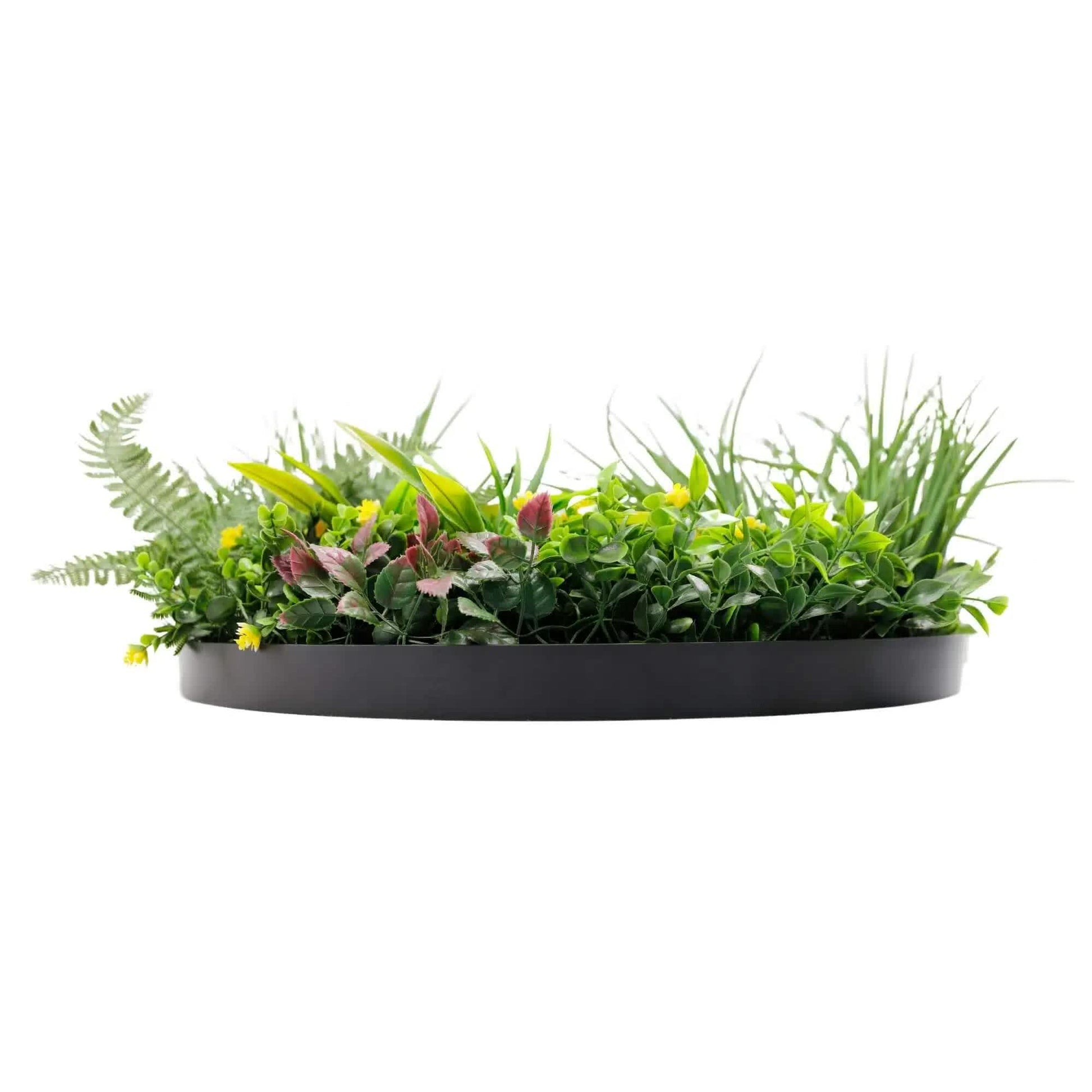 Slimline Artificial Green Wall Disc Art 60cm Country Fern UV Resistant (Black) - Image 4