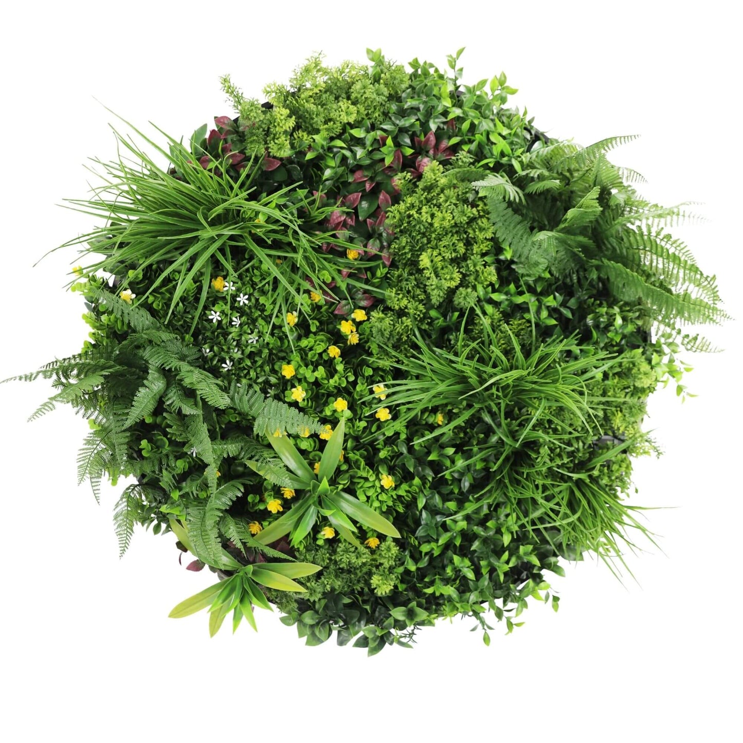 Slimline Artificial Green Wall Disc Art 80cm Country Fern UV Resistant (Black) - Image 3