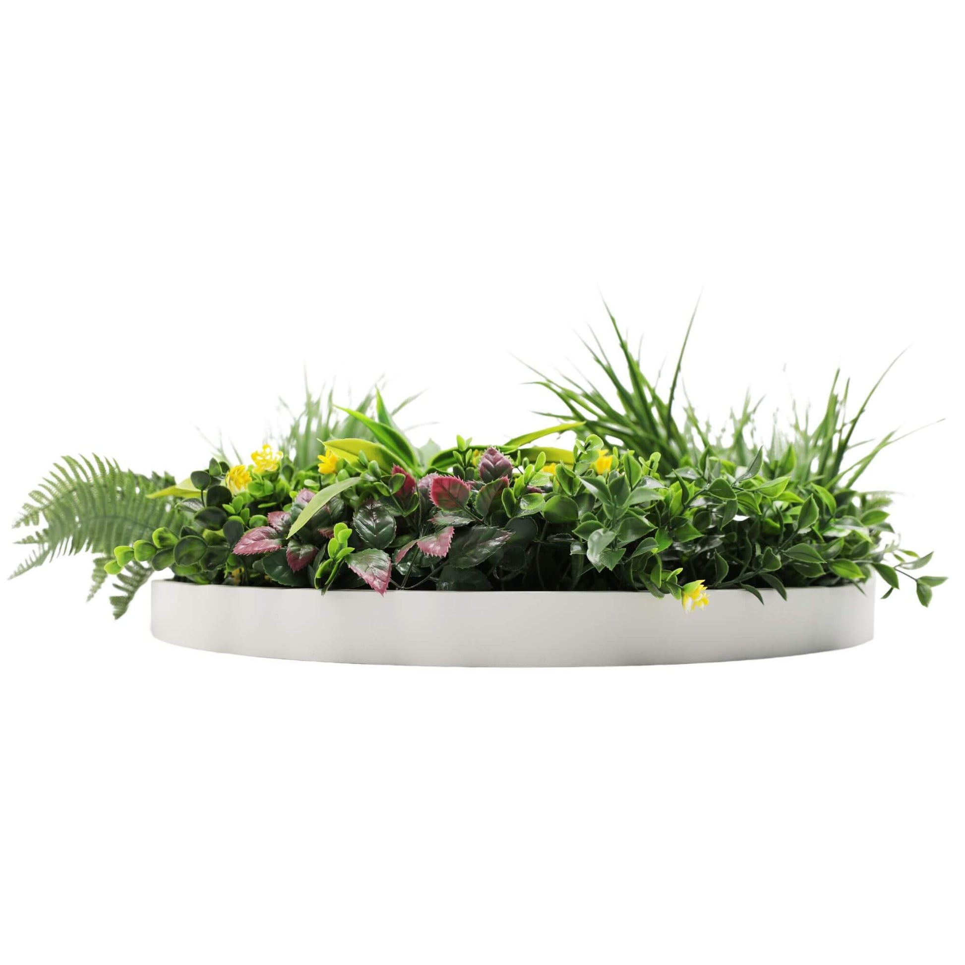 Slimline Artificial Green Wall Disc Art 60cm Country Fern UV Resistant (White) - Image 4