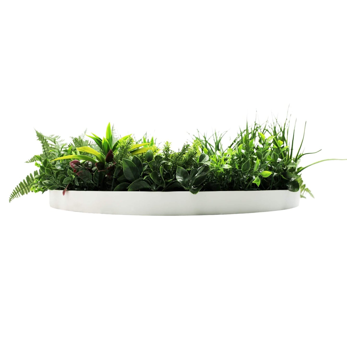 Slimline Artificial Green Wall Disc Art 80cm Country Fern UV Resistant (White) - Image 4