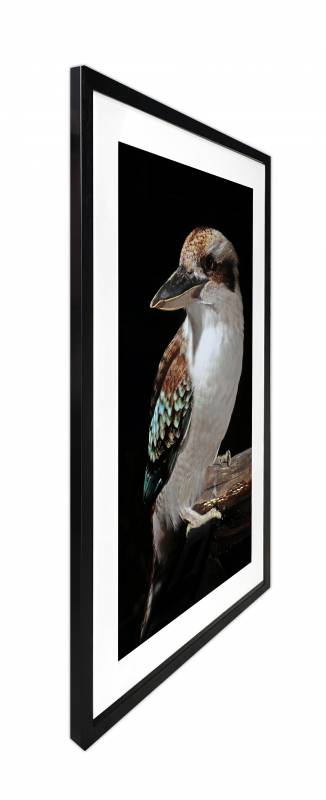 Mystery Kookaburra Artwork Framed W Glass Front 80x120cm - Image 3