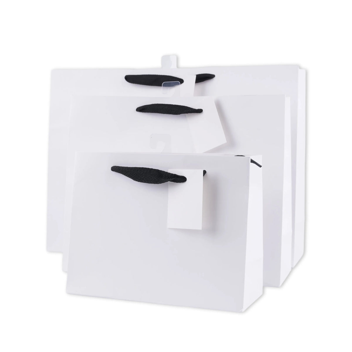 bulk 24 Large Landscape Gift Bags w Handle 26x32cm