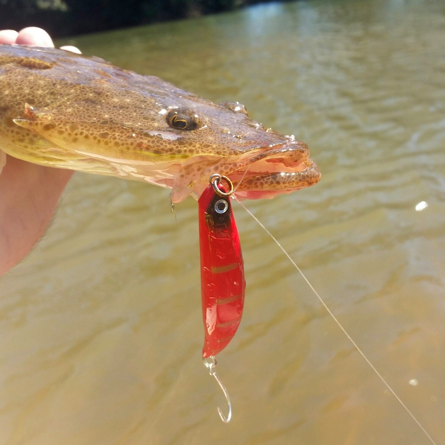 Toppu Mizzu Sidewinder Bent Minnow, 95mm, Opaque Gold - Image 2