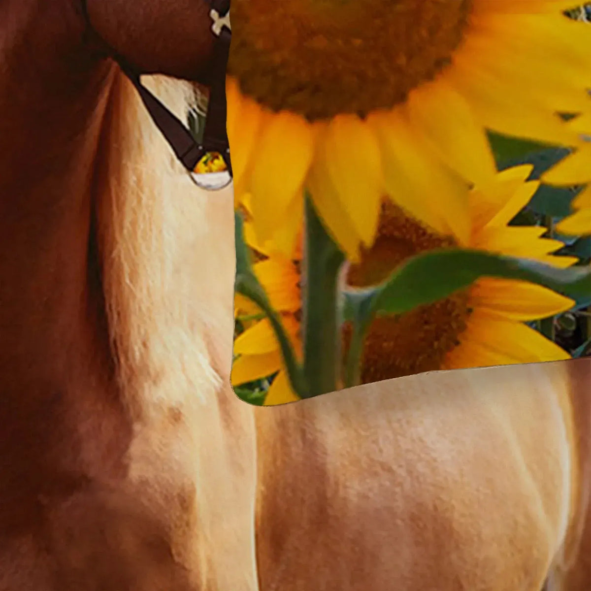 Horse Sunflowers Verona Elegance Quilt / Doona / Duvet Cover set - Image 5