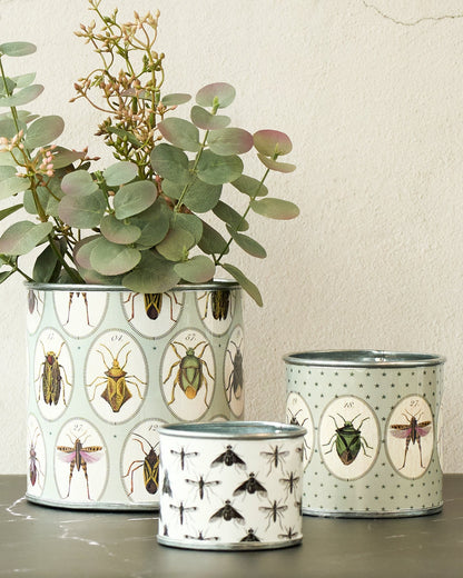 tin-planter-bugtasia-taupe-set-of-4 - Image 3