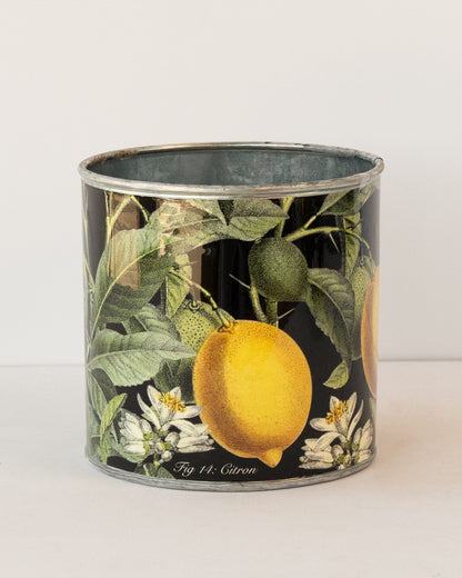 tin-planter-lemons-set-of-4 - Image 2