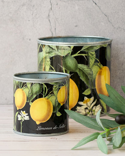 tin-planter-lemons-set-of-4 - Image 3