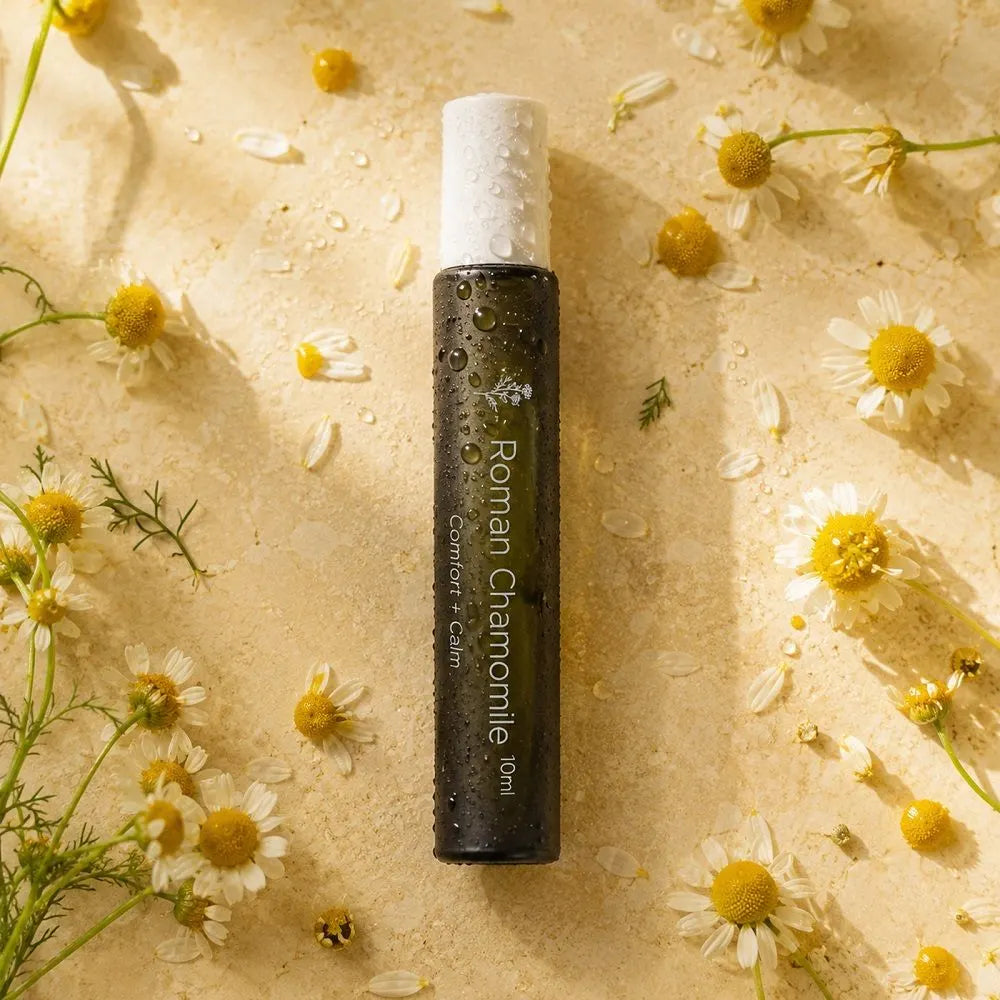 Roman Chamomile Essential Oil Roll-on — Emotional Softening, Comfort & Nervous System Calm Ritual - Image 3