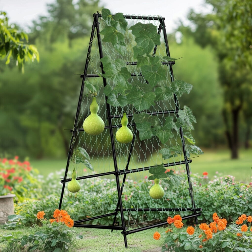 FIN Metal Garden Trellis Arch Climbing Plants Grow Support Frame with Ground Spikes - Image 2