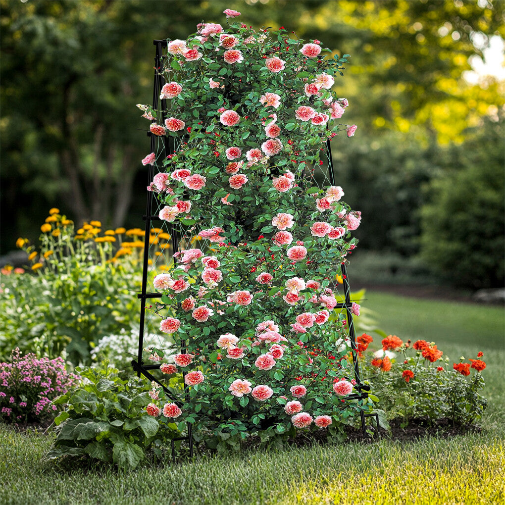 FIN Metal Garden Trellis Arch Climbing Plants Grow Support Frame with Ground Spikes - Image 5