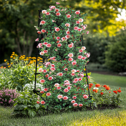 FIN Metal Garden Trellis Arch Climbing Plants Grow Support Frame with Ground Spikes - Image 5