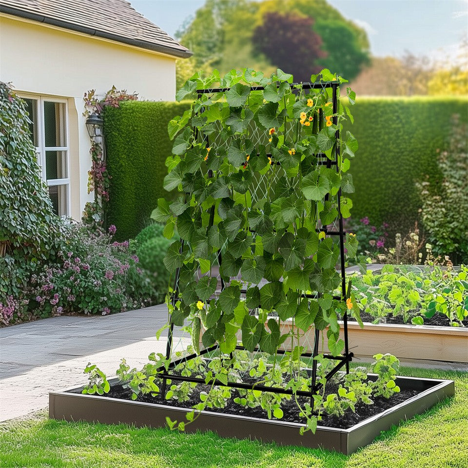FIN Metal Garden Trellis Arch Climbing Plants Grow Support Frame with Ground Spikes - Image 8