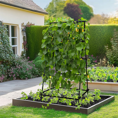 FIN Metal Garden Trellis Arch Climbing Plants Grow Support Frame with Ground Spikes - Image 8