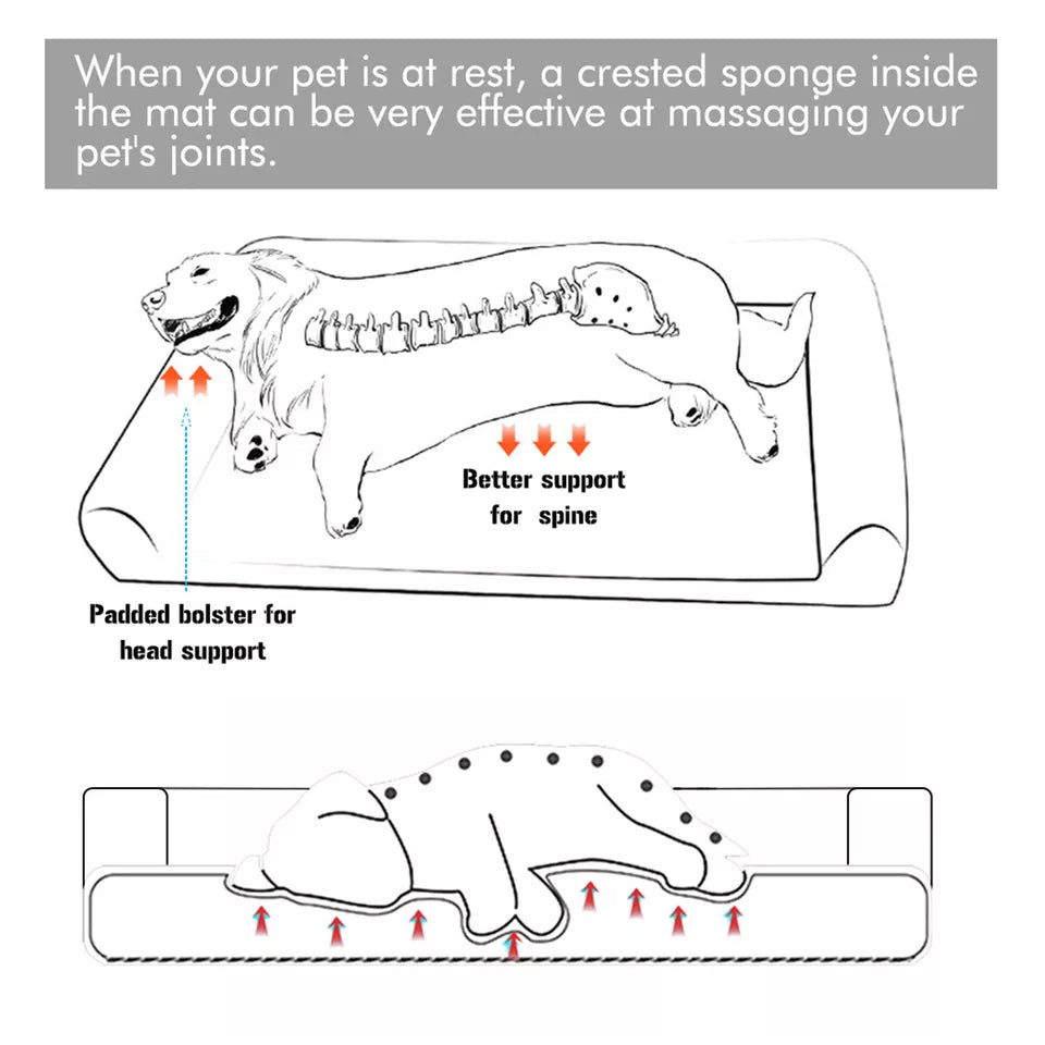 P&P Pet Cot with Bolster Support and Breathable Mesh Design for Dogs to Lounge(XL) - Image 4