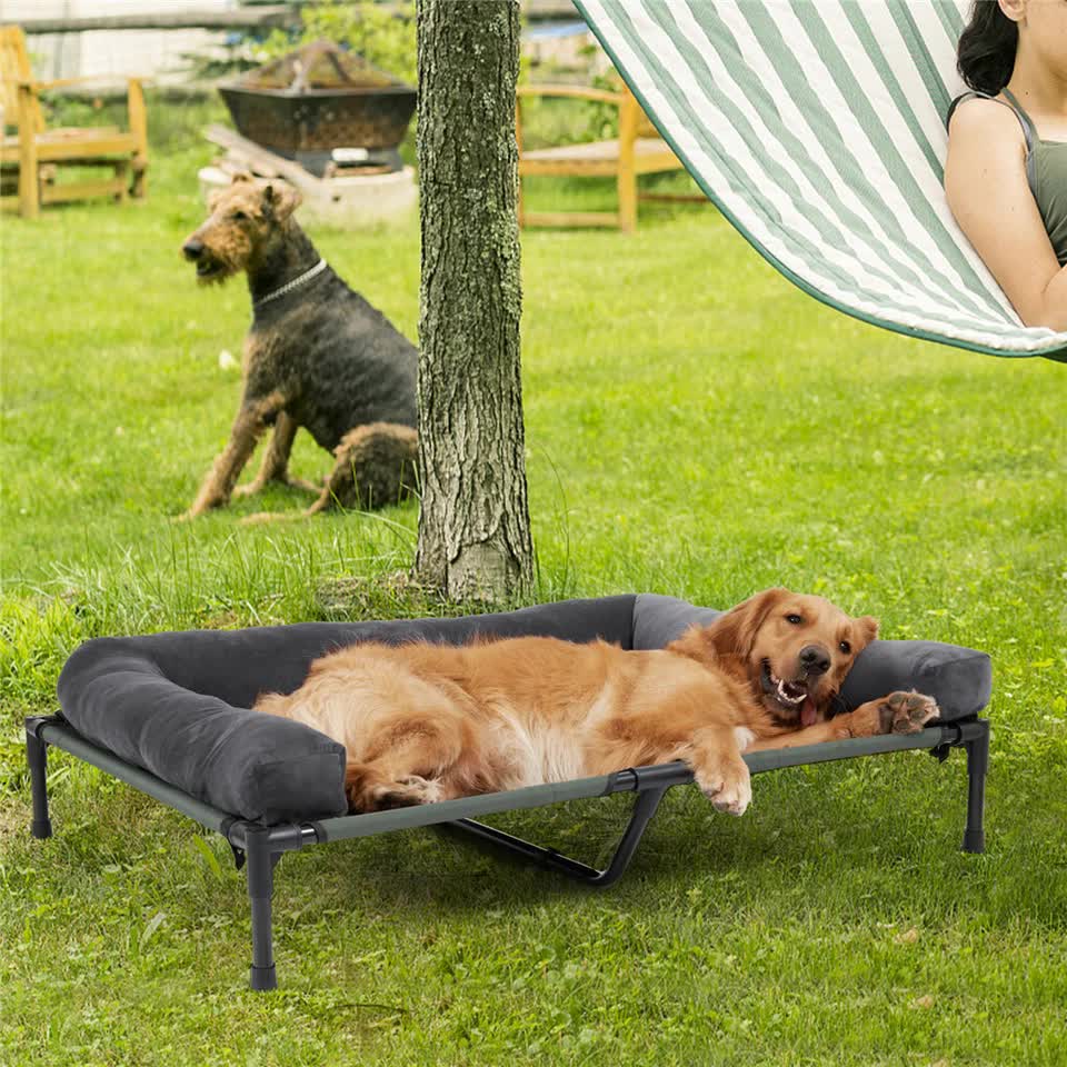 P&P Pet Cot with Bolster Support and Breathable Mesh Design for Dogs to Lounge(XL) - Image 5