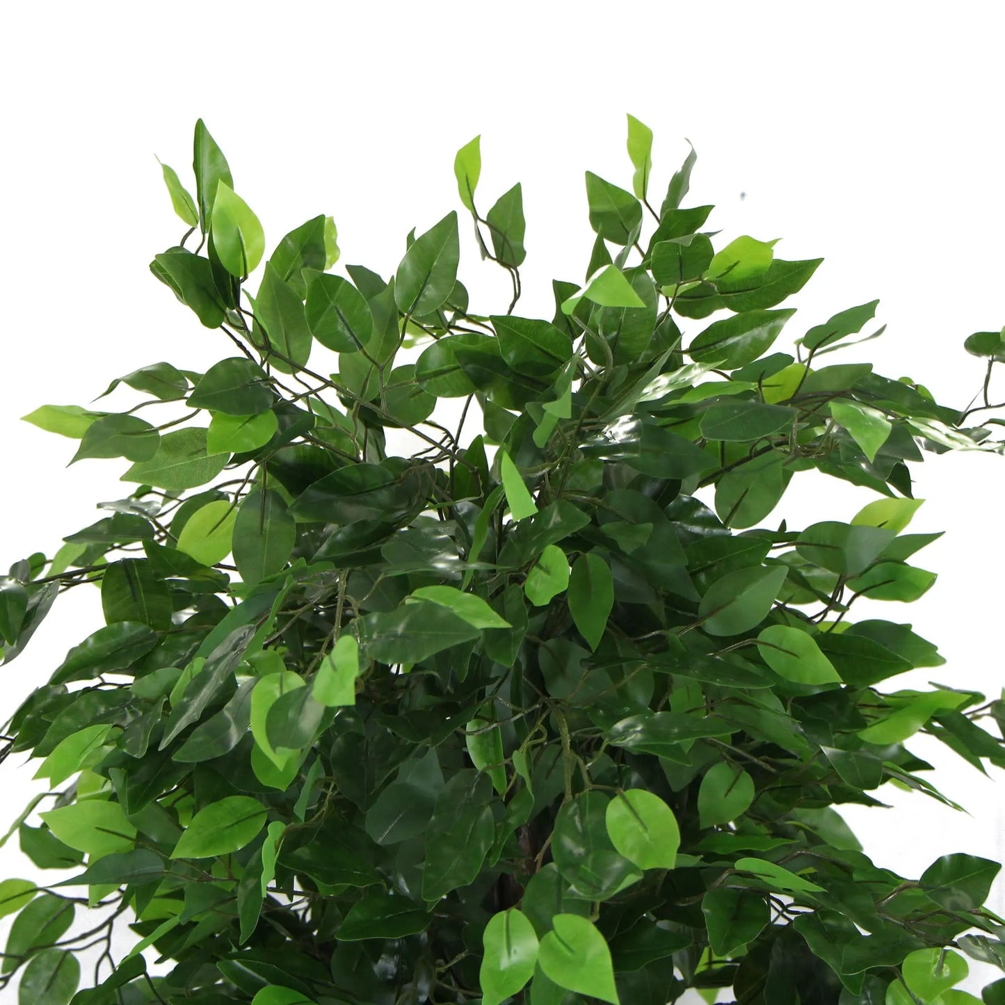 Artificial Ficus Tree 180cm Nearly Natural UV Resistant - Image 3