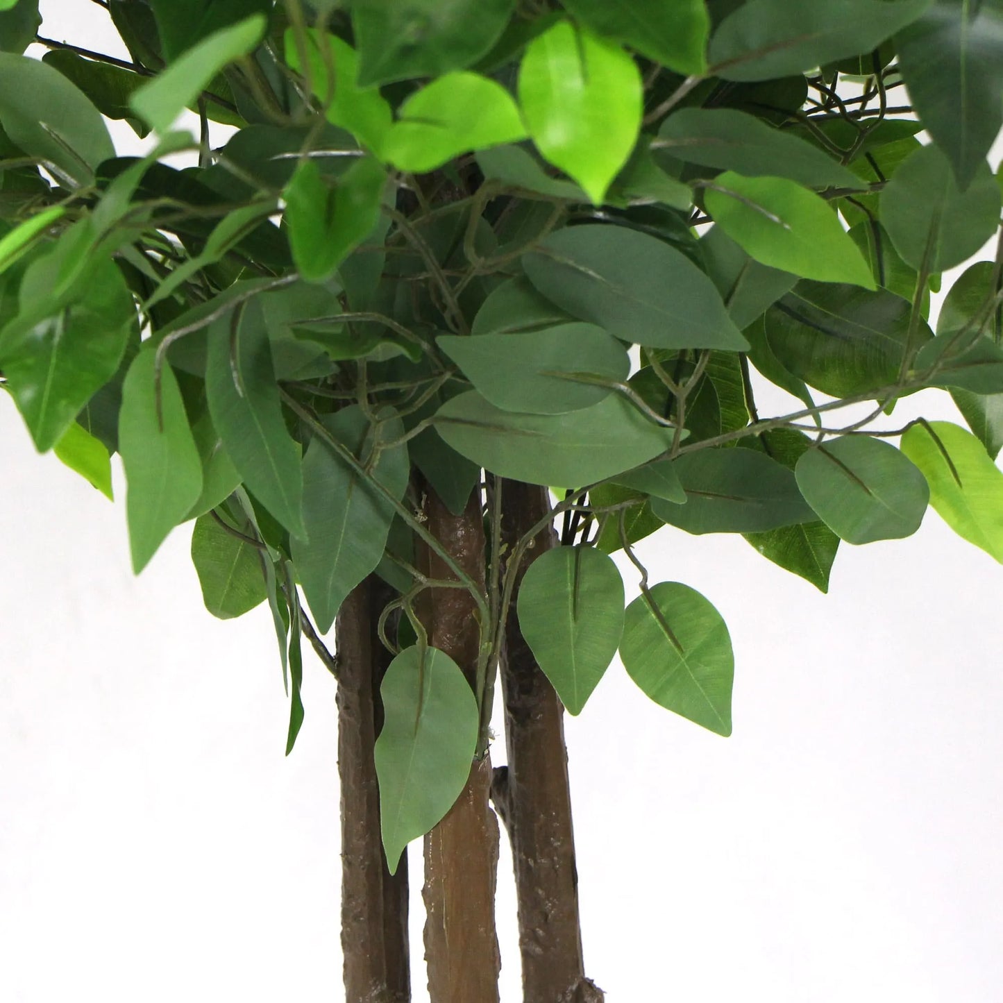 Artificial Ficus Tree 180cm Nearly Natural UV Resistant - Image 5