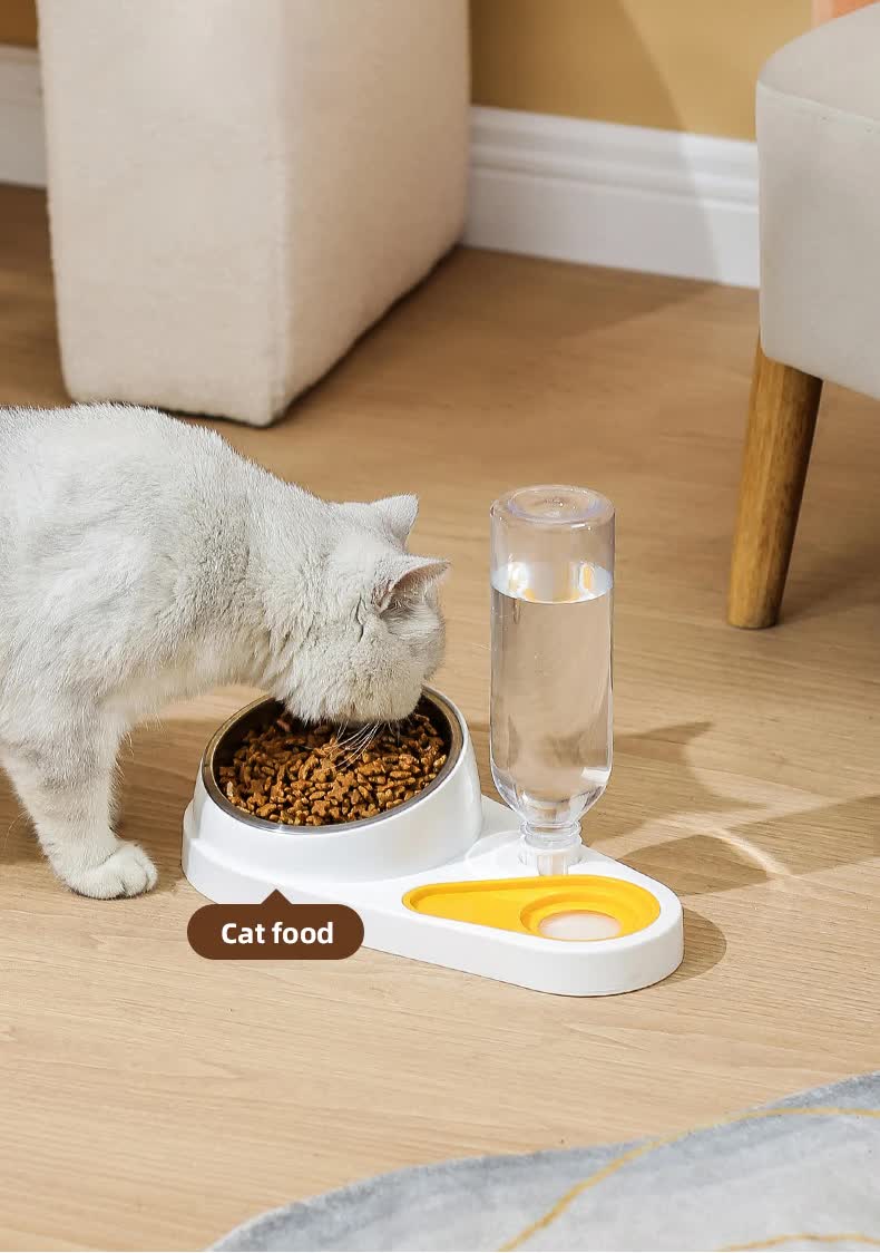 Blue Pet Bowl Set with Automatic Gravity Water Dispenser - Stainless Steel & PP Feeder Station - Image 2