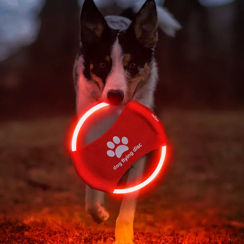 Red LED Rechargeable Dog Flying Disc - Glow-in-the-Dark Pet Training Toy with Paw Design - Image 2