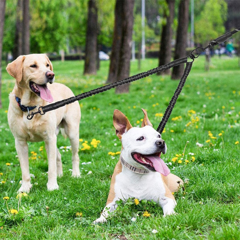 Black Pet Double-Ended Rope + 1.5M Leash - Easy to walk two dogs, tangle-free design - Image 2