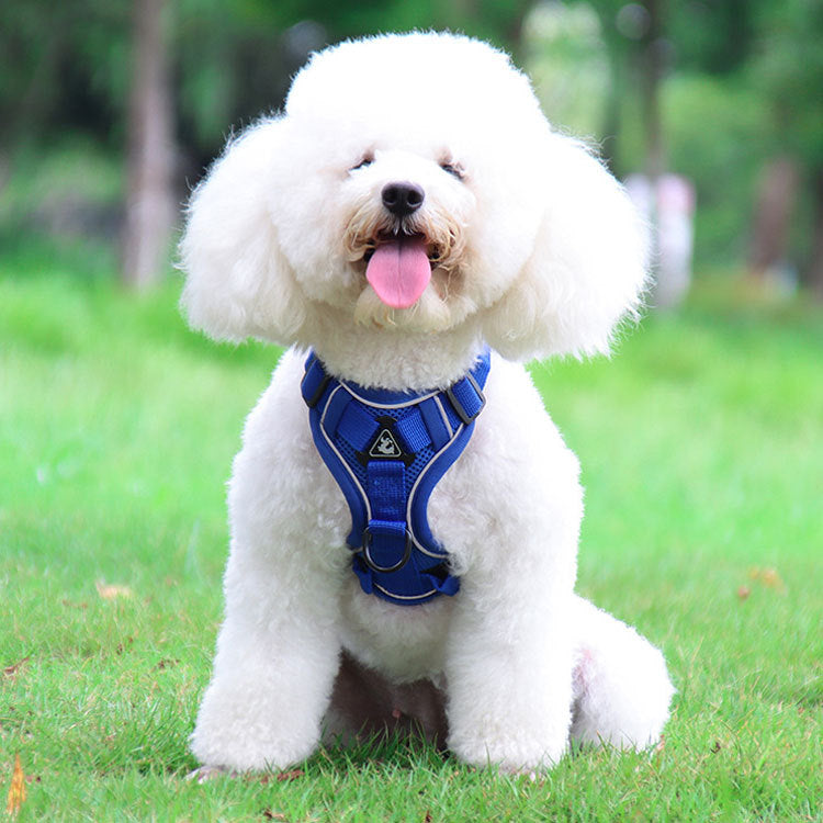 Blue Reflective Mesh Dog Harness and Leash Set - Adjustable No-Pull Vest - S - Image 2