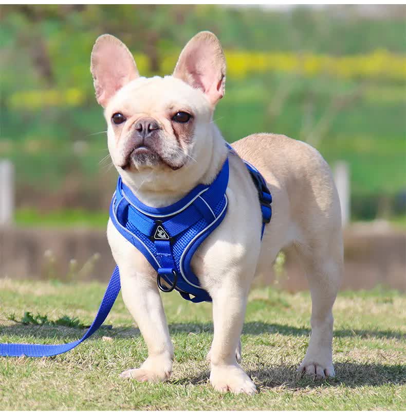 Blue Reflective Mesh Dog Harness and Leash Set - Adjustable No-Pull Vest - S - Image 3