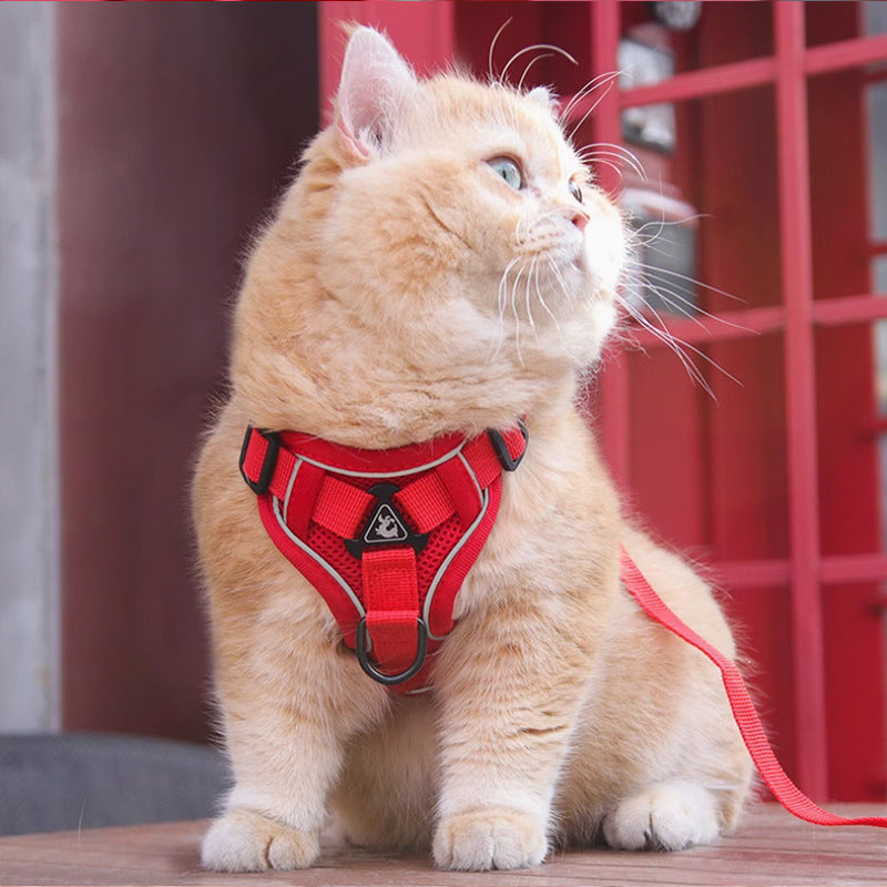 Red Reflective Mesh Dog Harness and Leash Set - Adjustable No-Pull Vest - M - Image 2