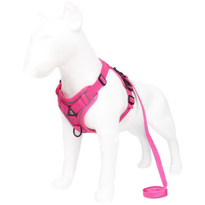 Rose Red Reflective Mesh Dog Harness and Leash Set - Adjustable No-Pull Vest - S - Image 2