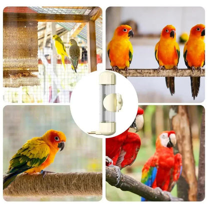 Brown Automatic Bird Water Feeder Bottle (200ml) - Leakproof No-Drip Dispenser for Parrots - Image 6