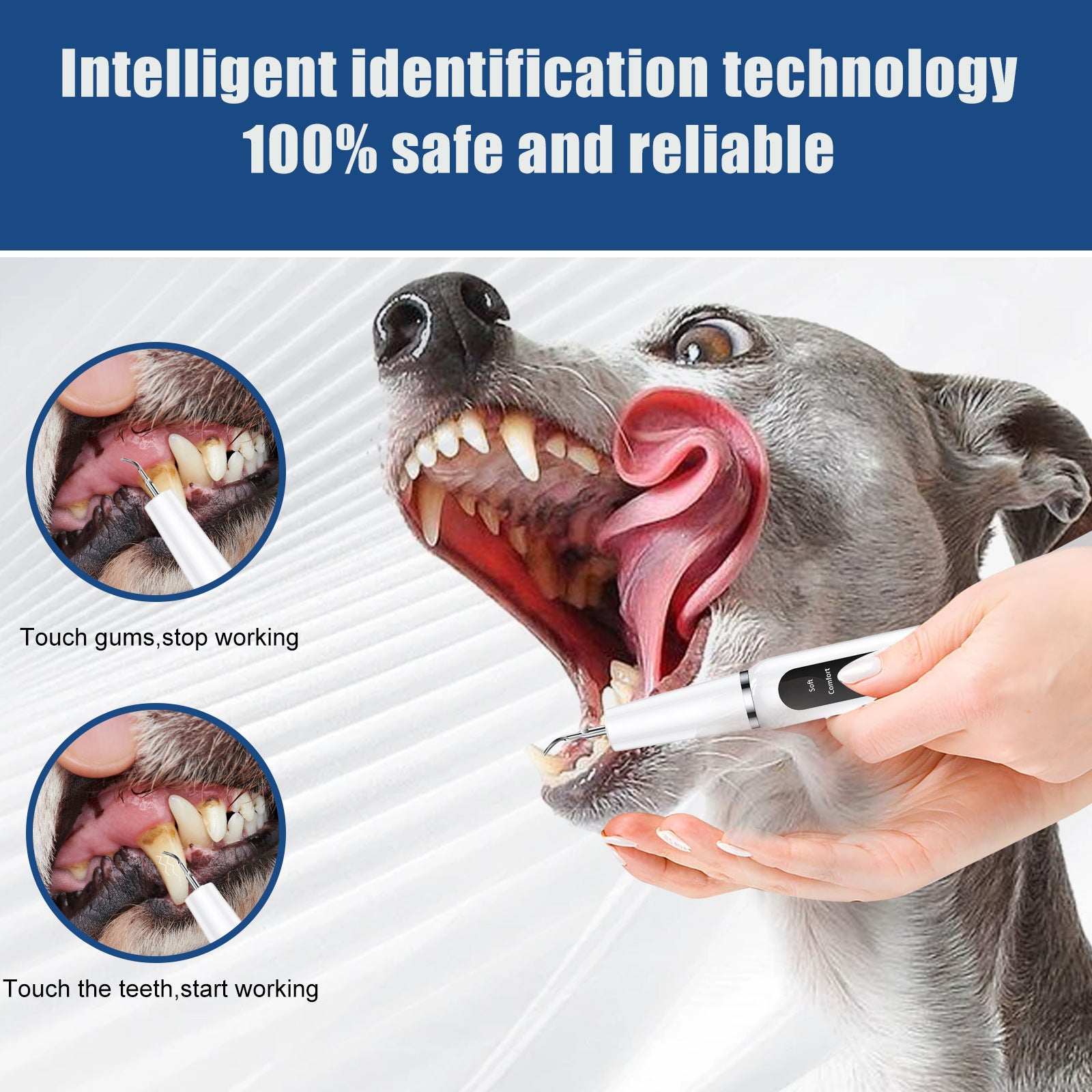 White Professional Pet Dental Cleaning Kit - Ultrasonic Scaler, Tools & 3 Modes - Image 2