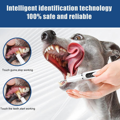 White Professional Pet Dental Cleaning Kit - Ultrasonic Scaler, Tools & 3 Modes - Image 2