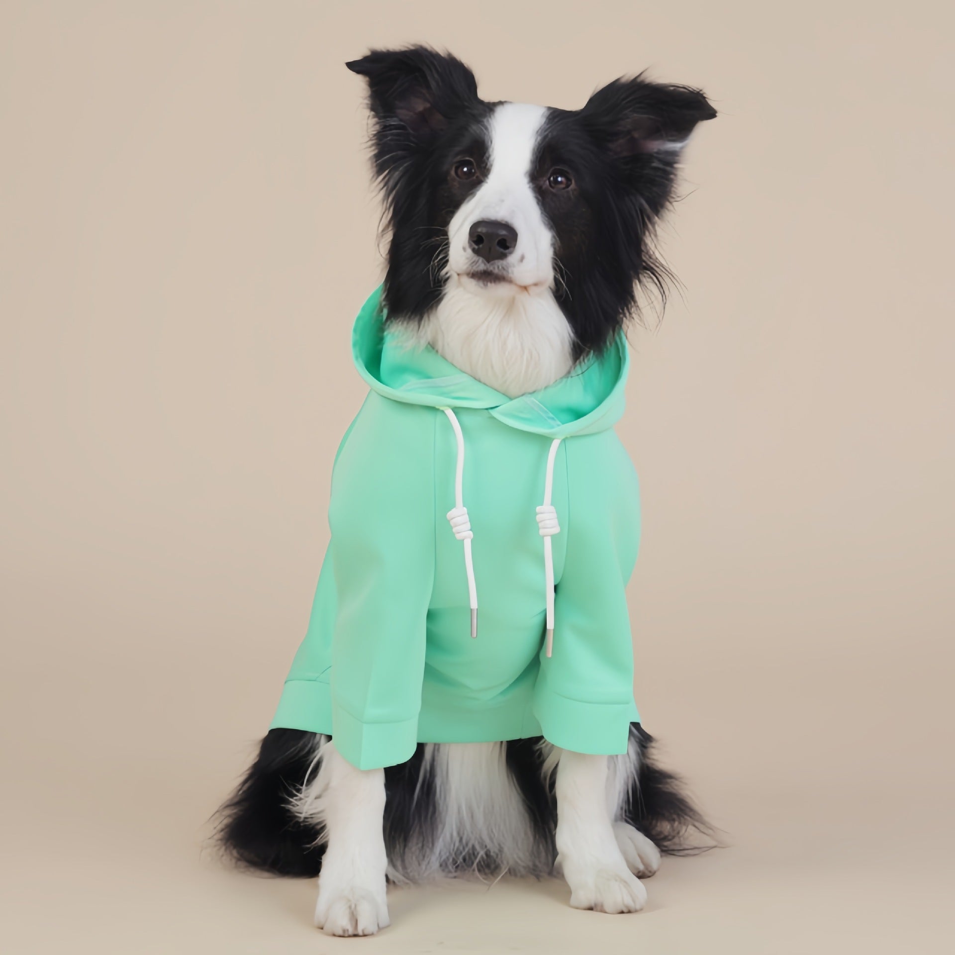 Green Classic Dog Sweatshirt with Hood & Drawstrings - For Large Dogs (Size : 3XL)