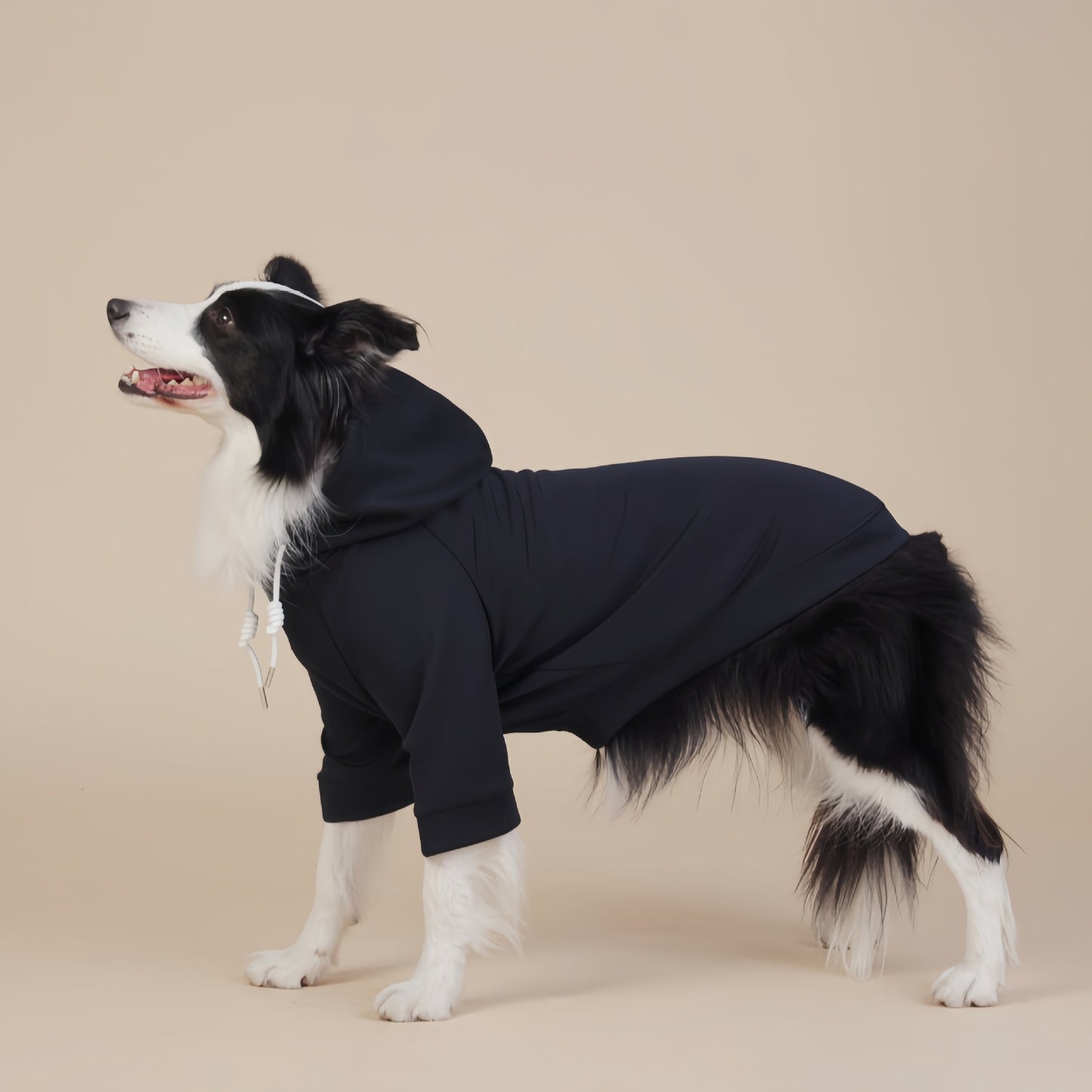 Black Classic Dog Sweatshirt with Hood & Drawstrings - For Large Dogs (Size : 2XL) - Image 2