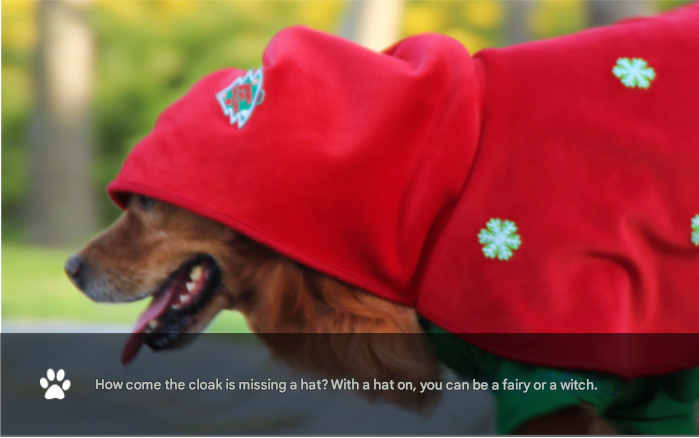 Christmas Dog Costume - Festive Hooded Cape & Green Jumpsuit Outfit (Size : XL) - Image 7