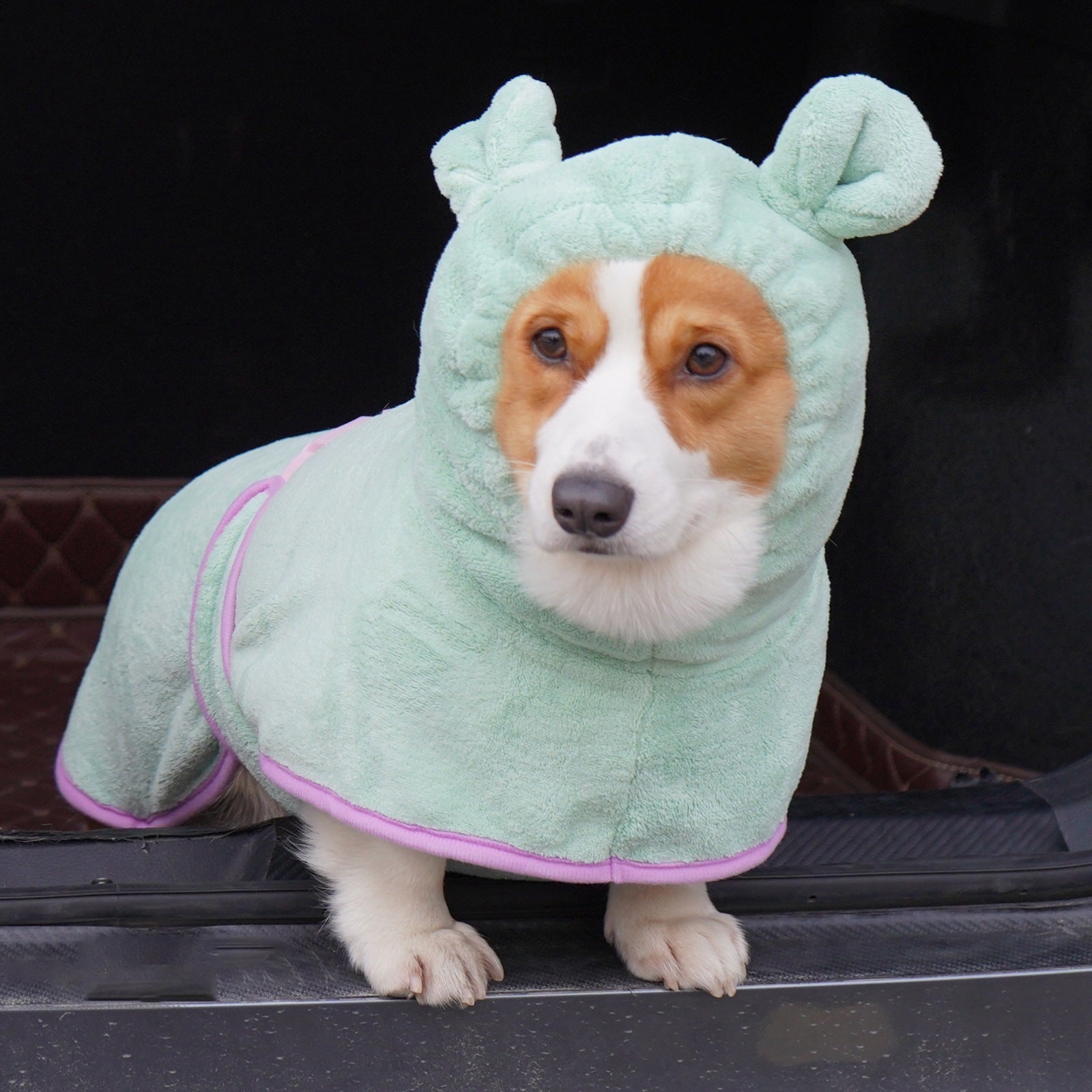 Green Hooded Dog Bathrobe - Super Absorbent, Adjustable Fit, Cozy Pet Towel (Size : S) - Image 2