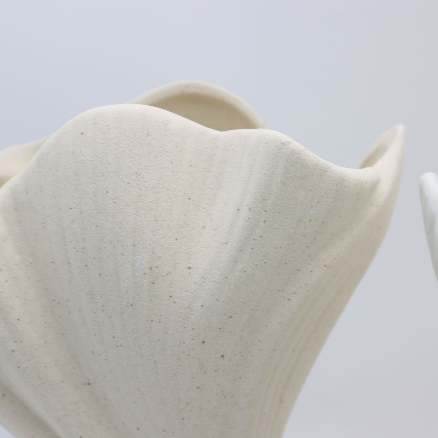 Black Elegant Off-White Ceramic Vase - Modern Sculptural Flower Holder with Wide Fluted Opening - Image 7