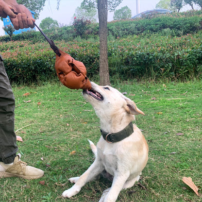 Black Durable Leather Dog Training Ball with Loop Handle - Interactive Bite & Tug Toy for Playful Pups - Image 5