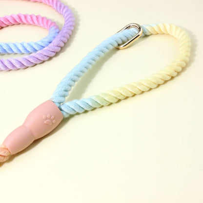 Colorful Vibrant Rainbow Ombre Rope Dog Leash - Durable Nylon P-Chain Slip Lead for Small & Medium Breeds - Image 2